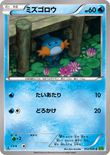 Mudkip - Tidal Storm 12
