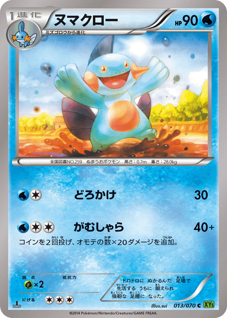 Marshtomp – Tidal Storm 013/070 Pokémon card