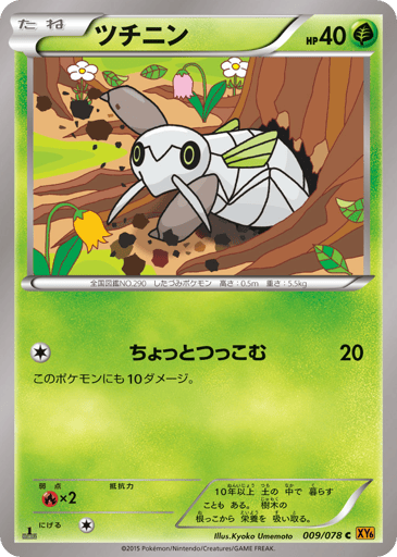 Nincada - Emerald Break 9