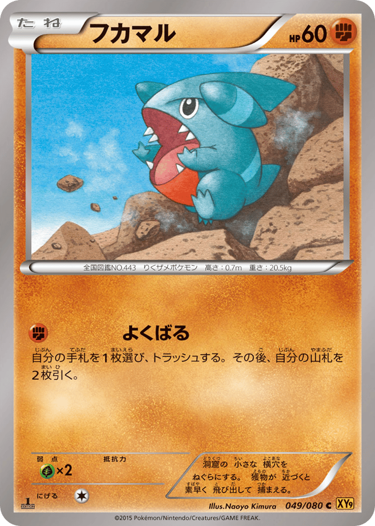 Gible – Rage of the Broken Heavens 049/080 Pokémon card