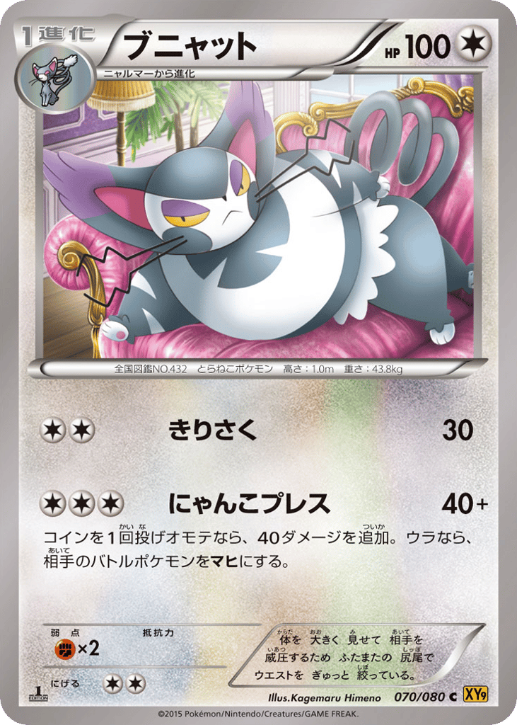 Purugly – Rage of the Broken Heavens 070/080 Pokémon card
