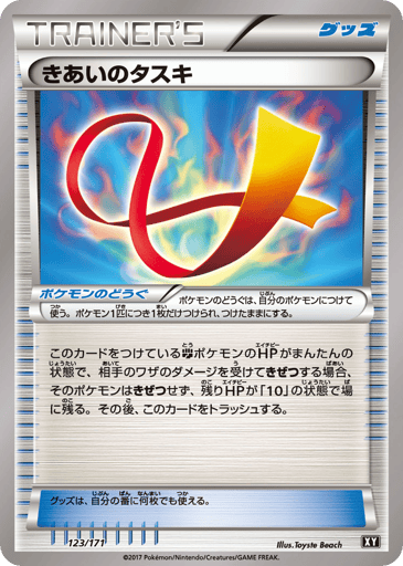 Focus Sash - The Best of XY 123